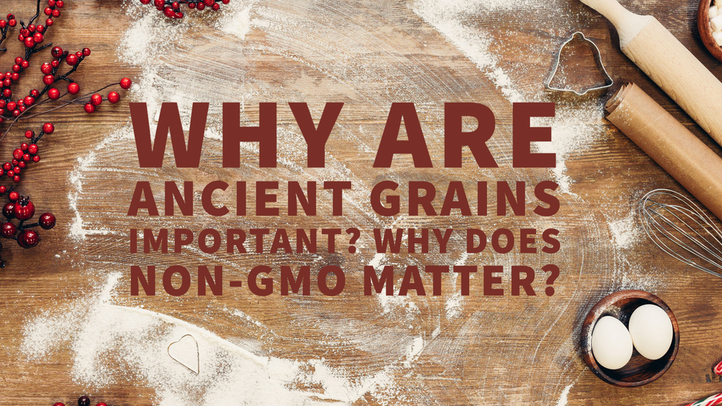 Why are Ancient Grains important? Why does non-GMO matter? Mom's Place Gluten Free