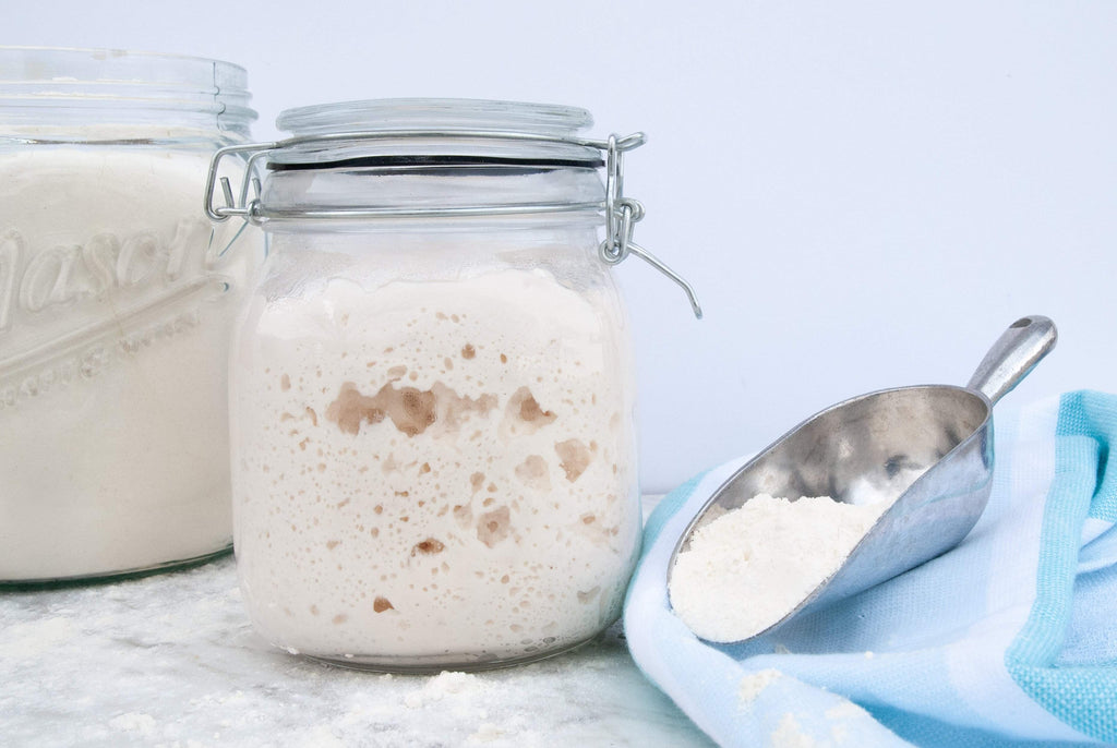 Sourdough Start freeshipping - Mom's Place Gluten Free